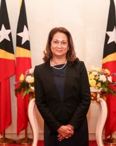 Official portrait of the Ambassador