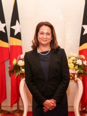 Official portrait of the Ambassador